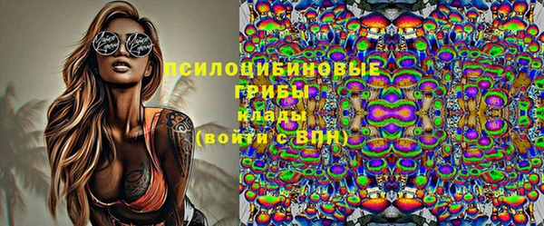 a pvp Алексин