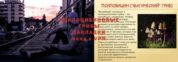 a pvp Алексин